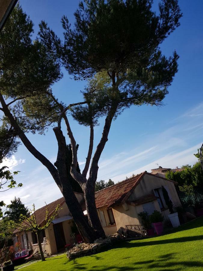 A L'Oree Du Pin Αιξ-αν-Προβάνς Εξωτερικό φωτογραφία